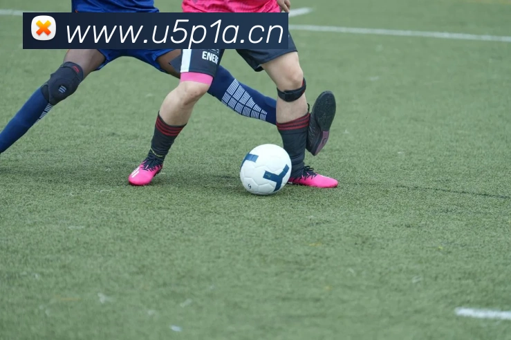 leyu乐鱼手机官网入口平台生态图